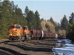 BNSF 5019